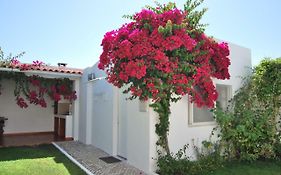 Apartamentos Costa
